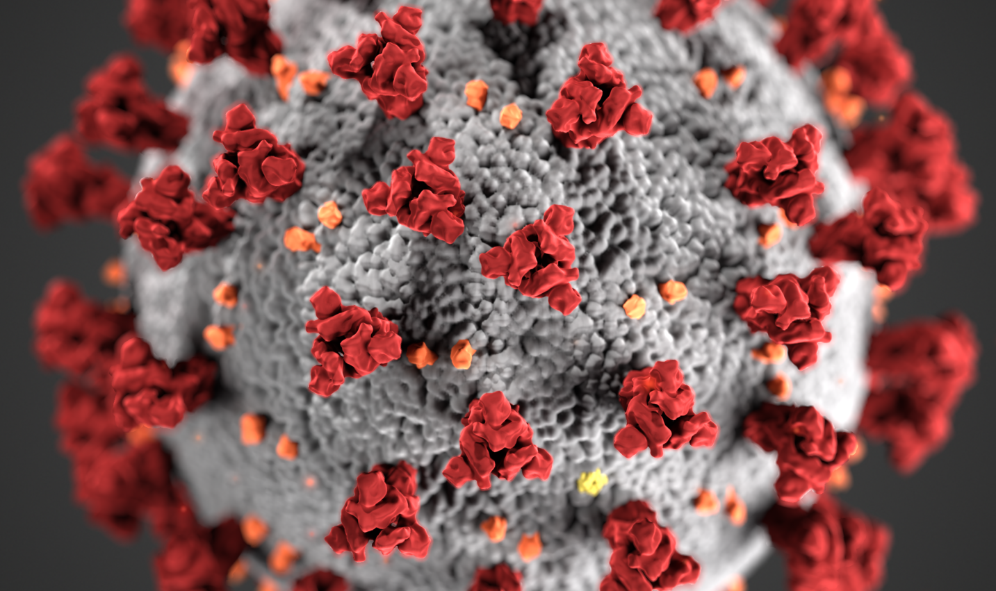 coronavirus